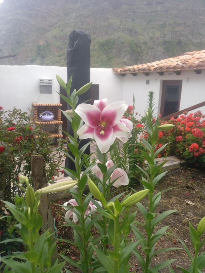 Casa La Plaza Villa Agulo Exterior photo